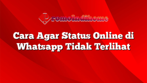 Cara Agar Status Online di Whatsapp Tidak Terlihat