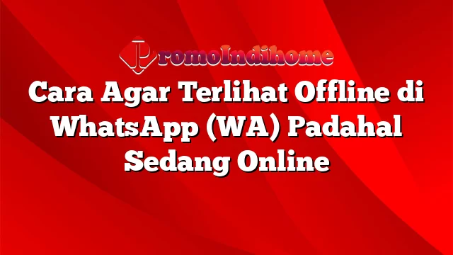 Cara Agar Terlihat Offline di WhatsApp (WA) Padahal Sedang Online