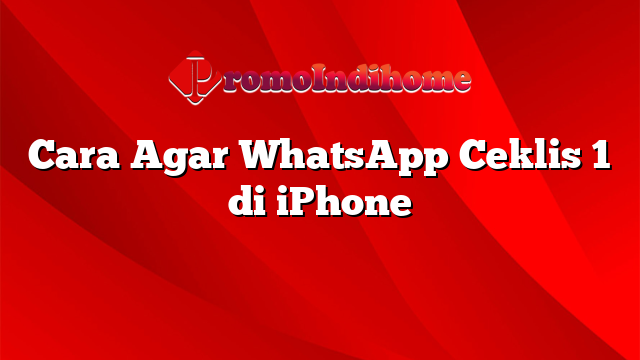 Cara Agar WhatsApp Ceklis 1 di iPhone