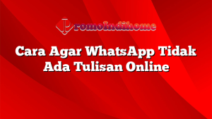 Cara Agar WhatsApp Tidak Ada Tulisan Online