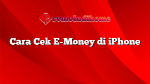 Cara Cek E-Money di iPhone