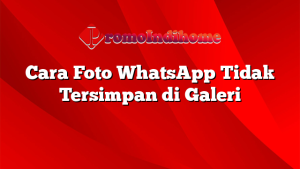 Cara Foto WhatsApp Tidak Tersimpan di Galeri