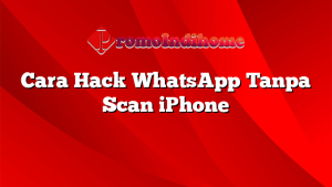 Cara Hack WhatsApp Tanpa Scan iPhone