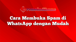 Cara Membuka Spam di WhatsApp dengan Mudah