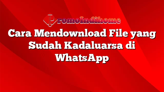 Cara Mendownload File yang Sudah Kadaluarsa di WhatsApp