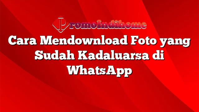Cara Mendownload Foto yang Sudah Kadaluarsa di WhatsApp