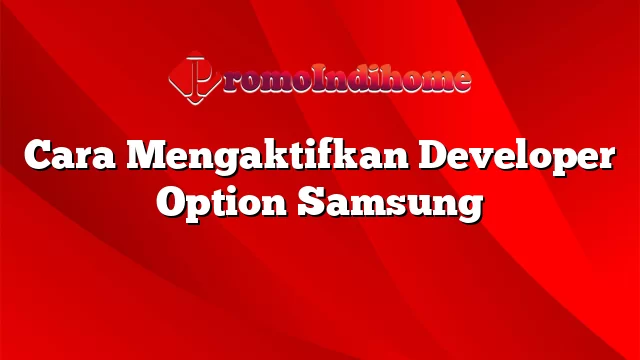 Cara Mengaktifkan Developer Option Samsung
