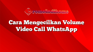 Cara Mengecilkan Volume Video Call WhatsApp