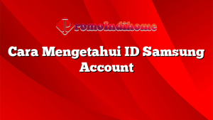 Cara Mengetahui ID Samsung Account