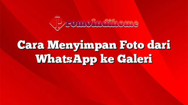 Cara Menyimpan Foto dari WhatsApp ke Galeri