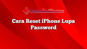 Cara Reset iPhone Lupa Password