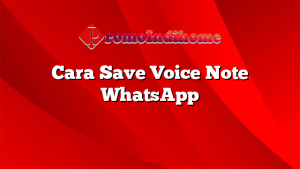 Cara Save Voice Note WhatsApp
