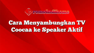 Cara Menyambungkan TV Coocaa ke Speaker Aktif