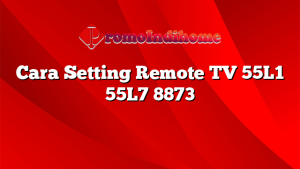 Cara Setting Remote TV 55L1 55L7 8873