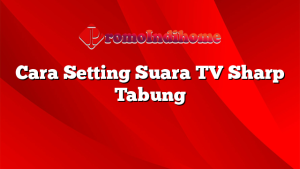 Cara Setting Suara TV Sharp Tabung
