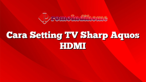 Cara Setting TV Sharp Aquos HDMI
