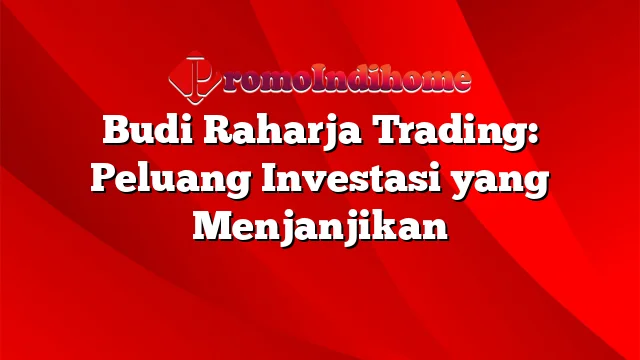 Budi Raharja Trading: Peluang Investasi yang Menjanjikan