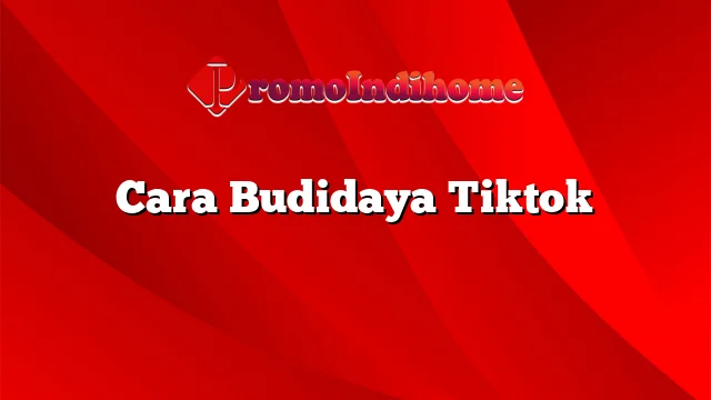 Cara Budidaya Tiktok