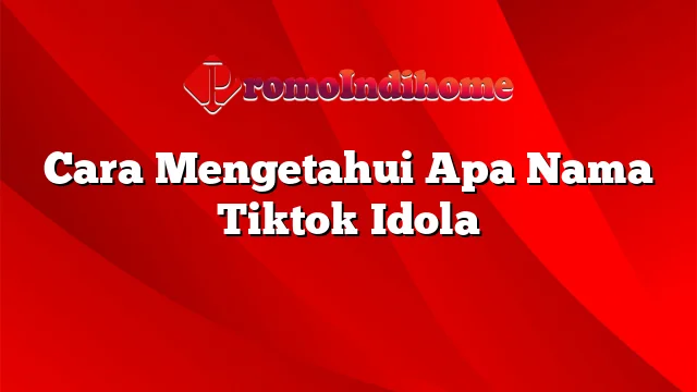 Cara Mengetahui Apa Nama Tiktok Idola