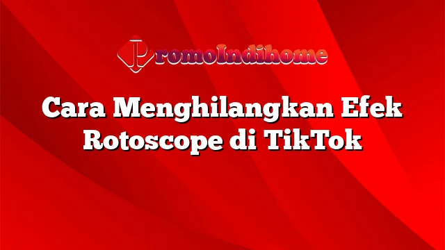 Cara Menghilangkan Efek Rotoscope di TikTok