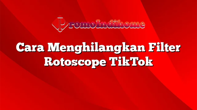 Cara Menghilangkan Filter Rotoscope TikTok