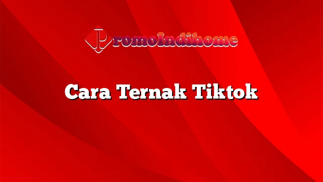 Cara Ternak Tiktok