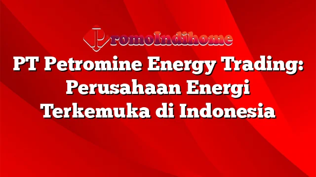 PT Petromine Energy Trading: Perusahaan Energi Terkemuka di Indonesia