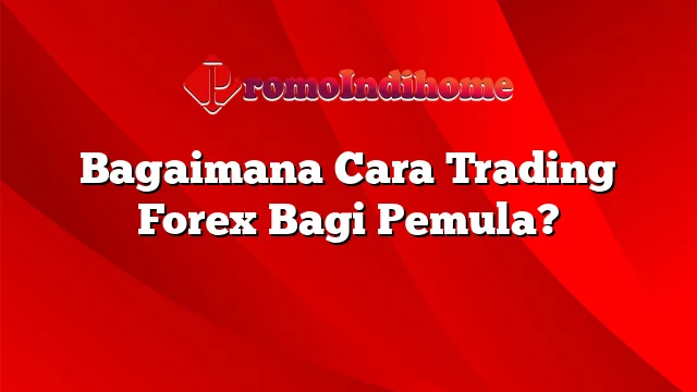 Bagaimana Cara Trading Forex Bagi Pemula?