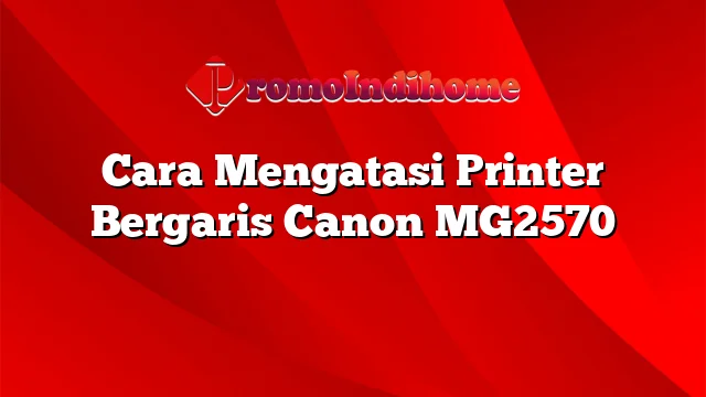 Cara Mengatasi Printer Bergaris Canon MG2570