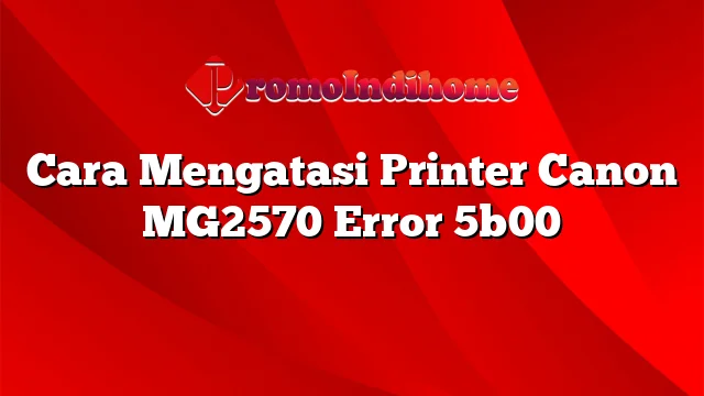 Cara Mengatasi Printer Canon MG2570 Error 5b00