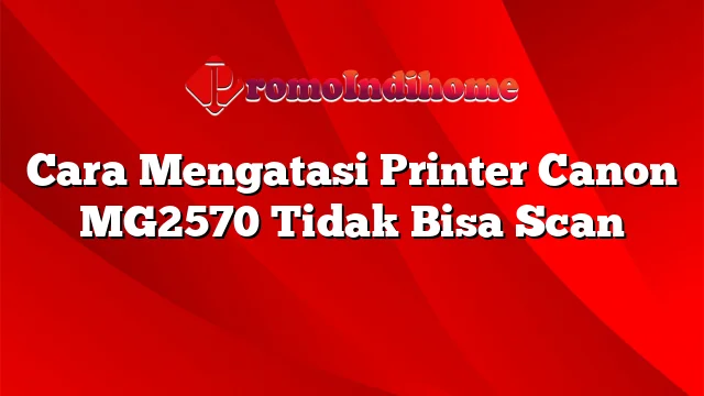 Cara Mengatasi Printer Canon MG2570 Tidak Bisa Scan