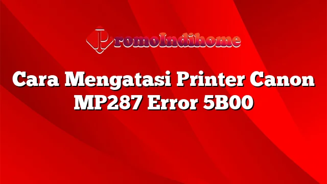 Cara Mengatasi Printer Canon MP287 Error 5B00