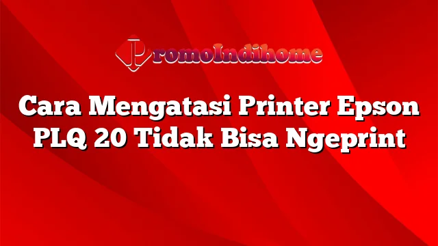 Cara Mengatasi Printer Epson PLQ 20 Tidak Bisa Ngeprint