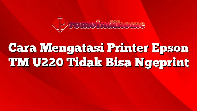 Cara Mengatasi Printer Epson TM U220 Tidak Bisa Ngeprint