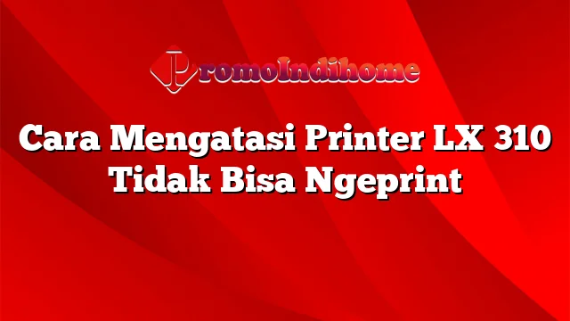 Cara Mengatasi Printer LX 310 Tidak Bisa Ngeprint