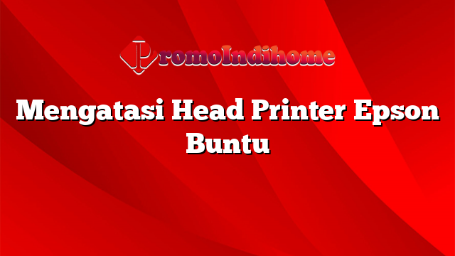 Mengatasi Head Printer Epson Buntu