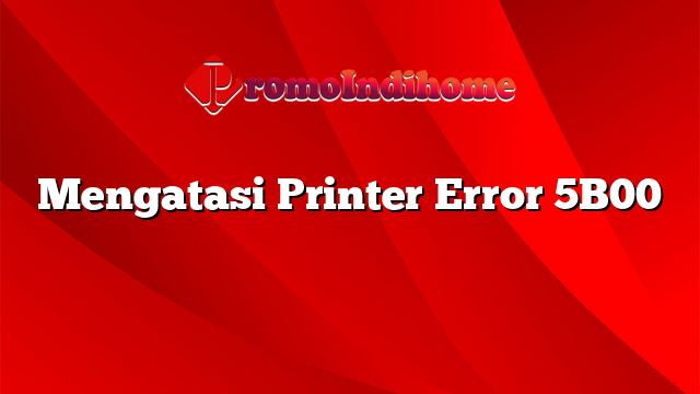 Mengatasi Printer Error 5B00