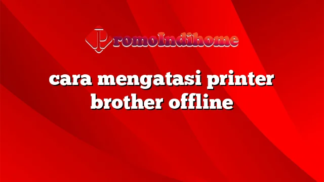 cara mengatasi printer brother offline