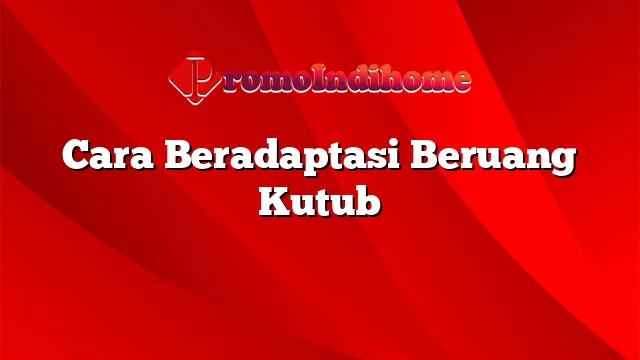 Cara Beradaptasi Beruang Kutub