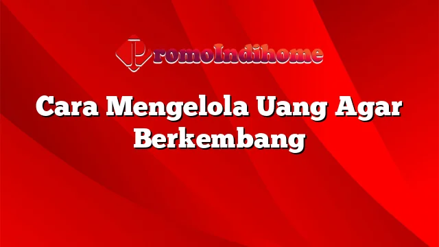 Cara Mengelola Uang Agar Berkembang