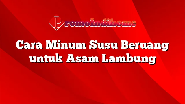 Cara Minum Susu Beruang untuk Asam Lambung