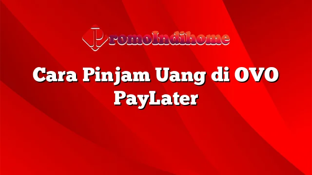 Cara Pinjam Uang di OVO PayLater